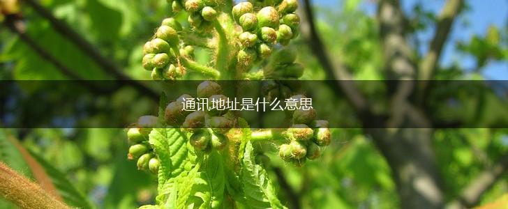 通讯地址是什么意思,第1张