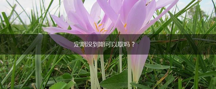 定期没到期可以取吗？,第1张
