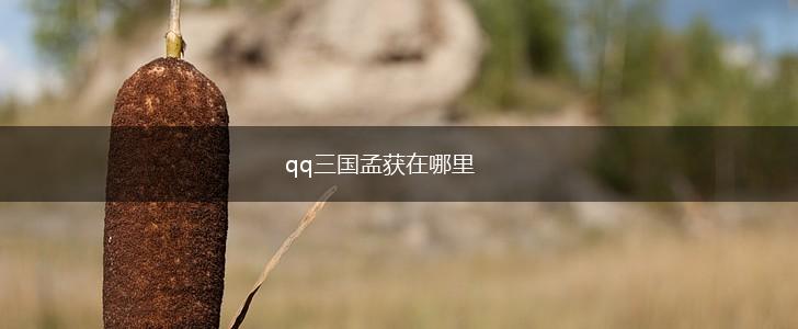 qq三国孟获在哪里,第1张