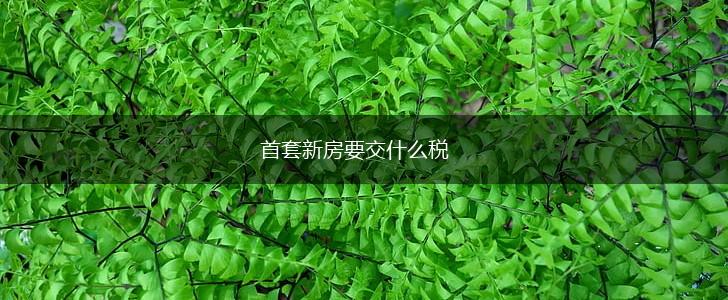 首套新房要交什么税,第1张