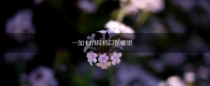 一加七的耳机口在哪里,第1张