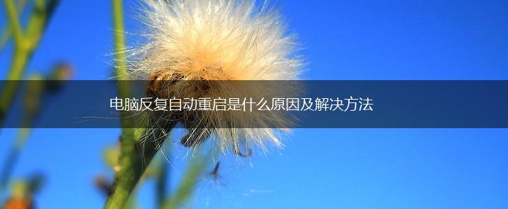 电脑反复自动重启是什么原因及解决方法,第1张