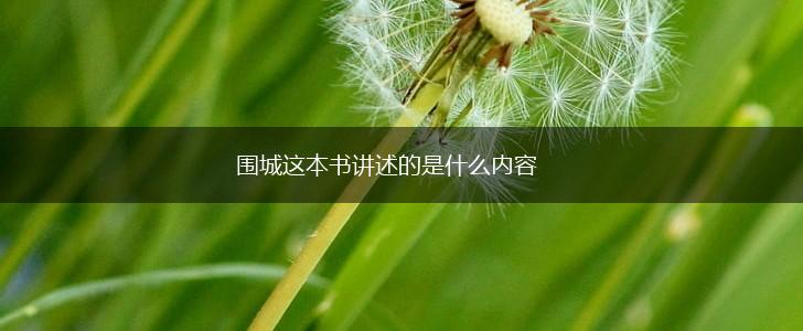 围城这本书讲述的是什么内容,第1张