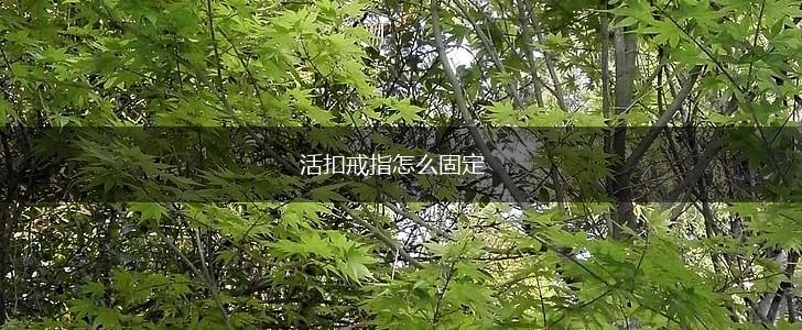 活扣戒指怎么固定,第1张 活扣戒指怎么固定,第1张