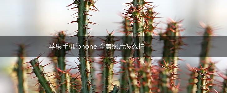 苹果手机iphone 全景照片怎么拍,第1张