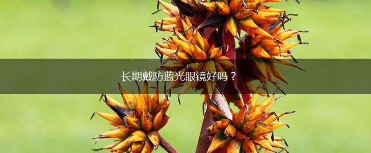 长期戴防蓝光眼镜好吗？,第1张