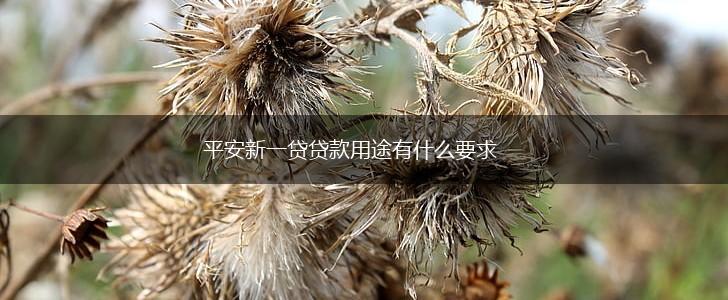 平安新一贷贷款用途有什么要求,第1张