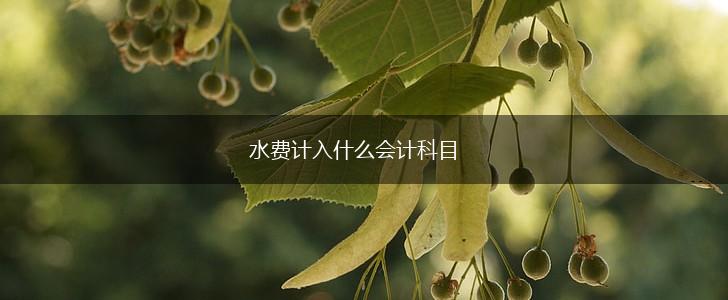 水费计入什么会计科目,第1张