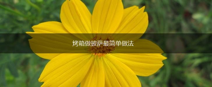 烤箱做披萨最简单做法,第1张