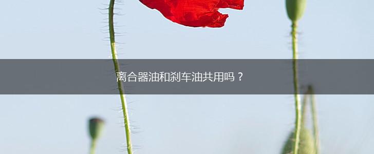 离合器油和刹车油共用吗？,第1张