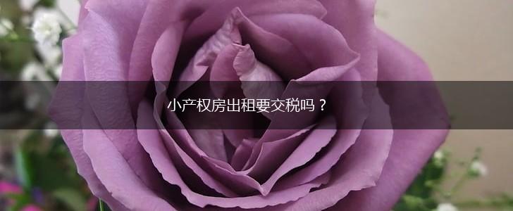 小产权房出租要交税吗？,第1张