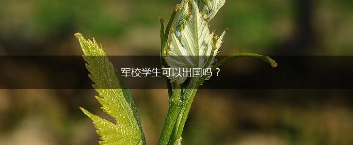 军校学生可以出国吗？,第1张