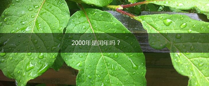 2000年是闰年吗？,第1张
