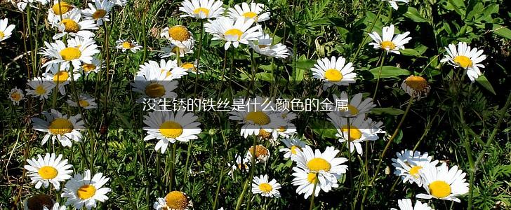 没生锈的铁丝是什么颜色的金属,第1张
