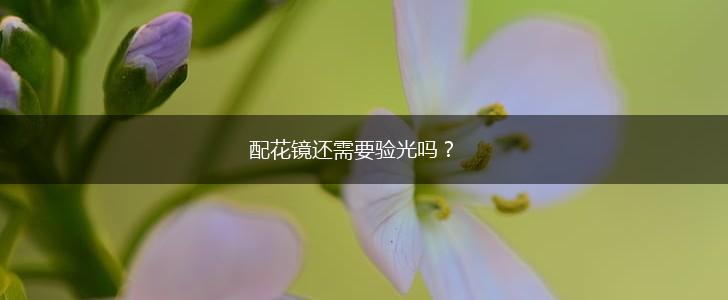 配花镜还需要验光吗？,第1张