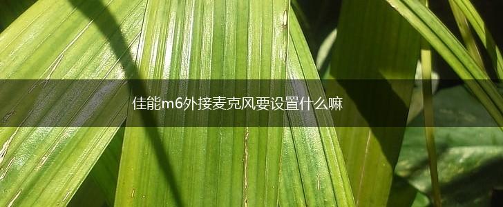 佳能m6外接麦克风要设置什么嘛,第1张