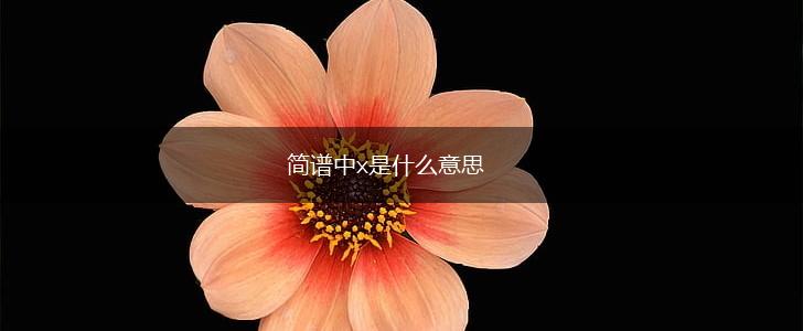 简谱中x是什么意思,第1张
