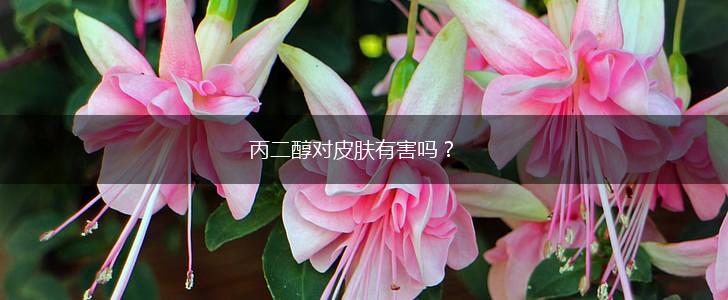 丙二醇对皮肤有害吗？,第1张