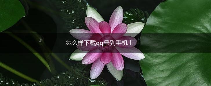 怎么样下载qq号到手机上,第1张