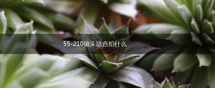 55-210镜头适合拍什么,第1张
