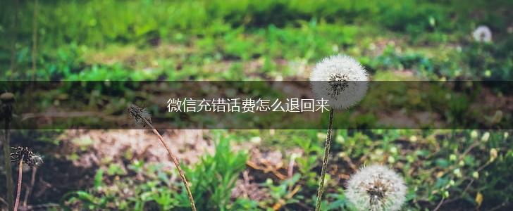 微信充错话费怎么退回来,第1张