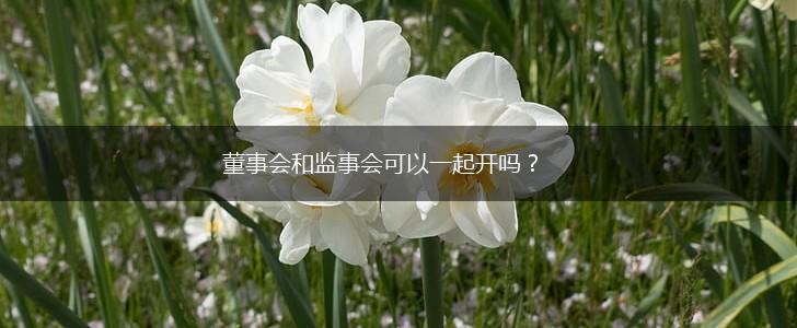 董事会和监事会可以一起开吗？,第1张