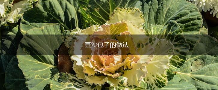 豆沙包子的做法,第1张