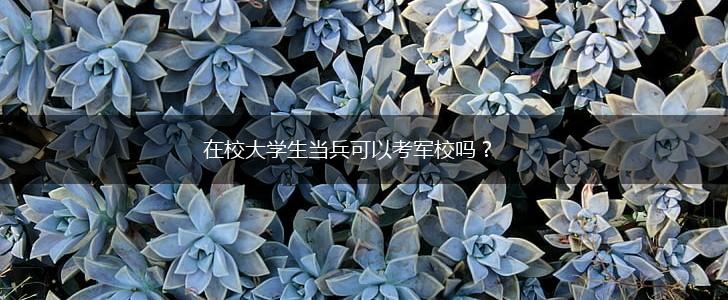 在校大学生当兵可以考军校吗?,第1张 在校大学生当兵可以考军校吗?,第1张