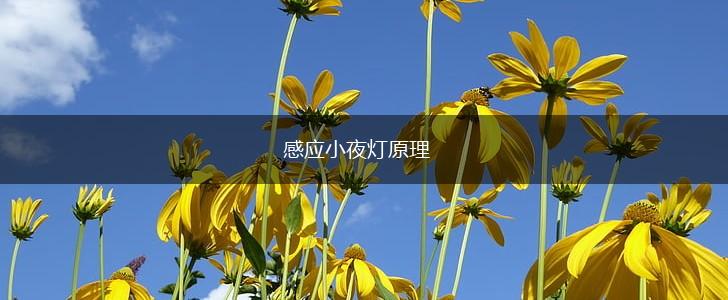 感应小夜灯原理,第1张
