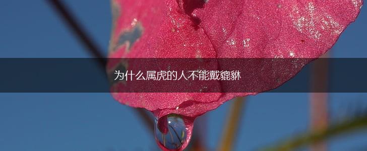 为什么属虎的人不能戴貔貅,第1张