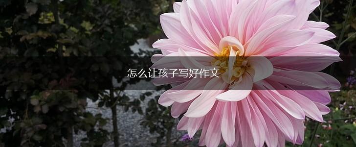 怎么让孩子写好作文,第1张