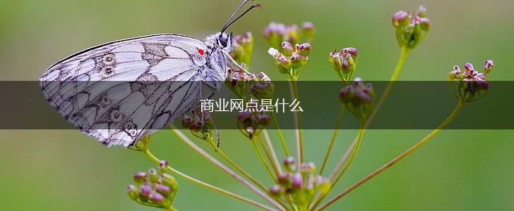 商业网点是什么,第1张