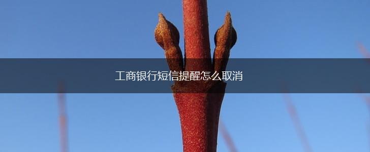 工商银行短信提醒怎么取消,第1张