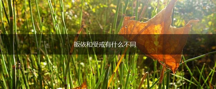 皈依和受戒有什么不同,第1张
