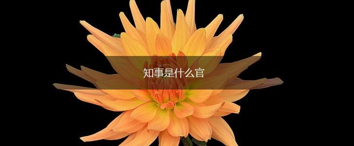 知事是什么官,第1张