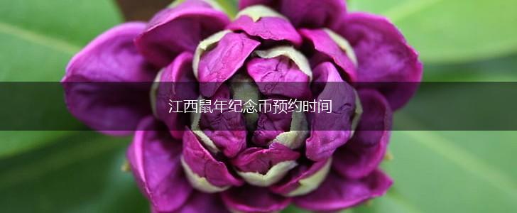江西鼠年纪念币预约时间,第1张