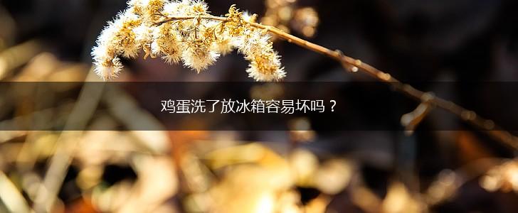鸡蛋洗了放冰箱容易坏吗？,第1张