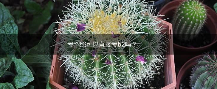 考驾照可以直接考b2吗？,第1张