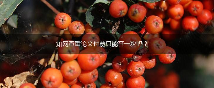 知网查重论文付费只能查一次吗？,第1张