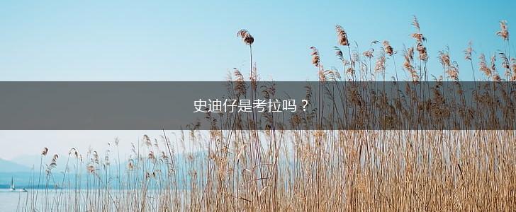 史迪仔是考拉吗？,第1张