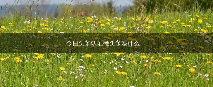 今日头条认证微头条发什么,第1张