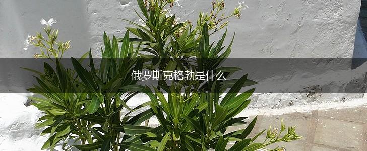 俄罗斯克格勃是什么,第1张