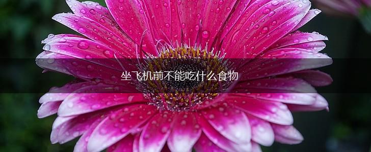 坐飞机前不能吃什么食物,第1张