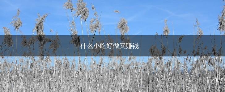 什么小吃好做又赚钱,第1张