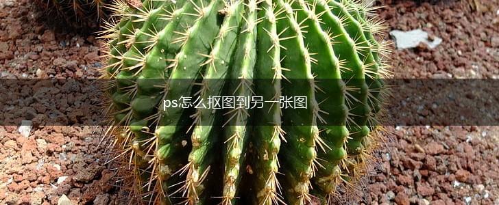 ps怎么抠图到另一张图,第1张