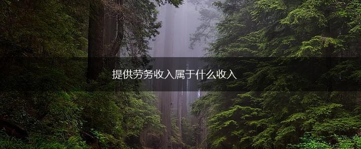 提供劳务收入属于什么收入,第1张