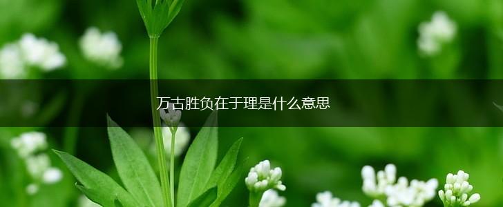 万古胜负在于理是什么意思,第1张