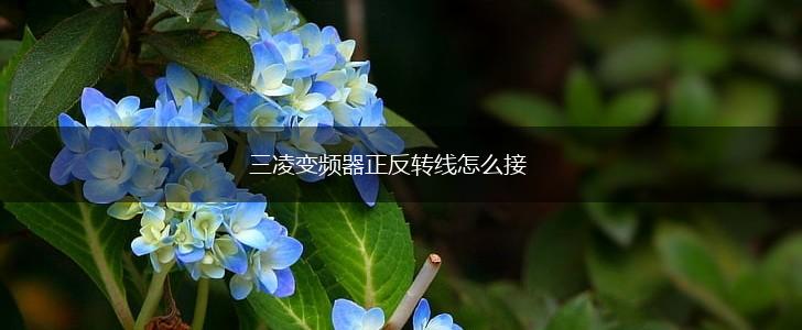 三凌变频器正反转线怎么接,第1张