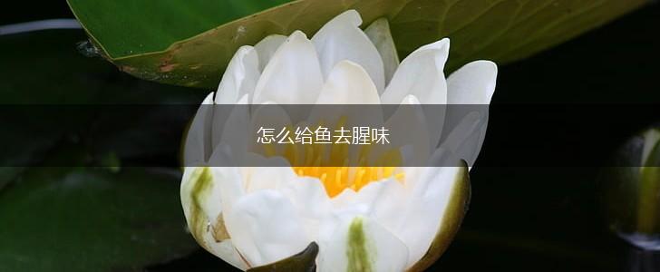 怎么给鱼去腥味,第1张