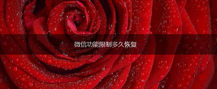 微信功能限制多久恢复,第1张